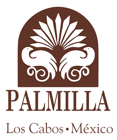 palmillalogo